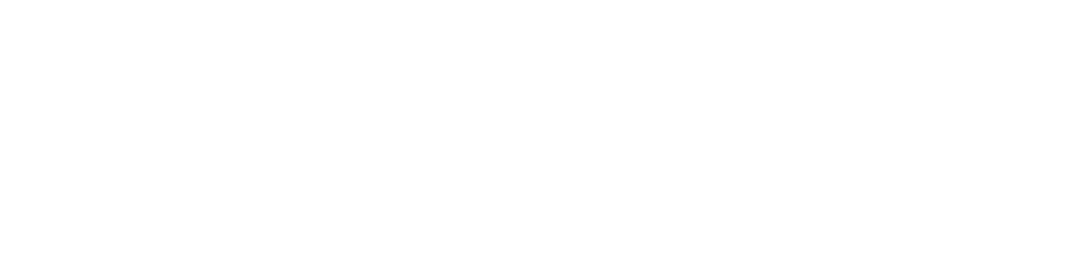 bigmind logo text